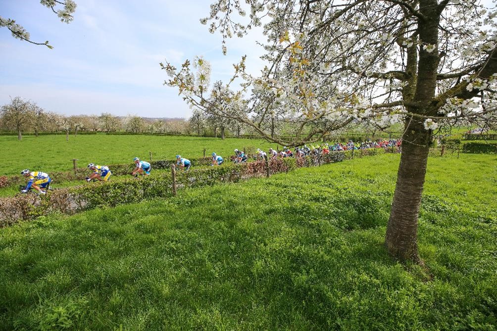 Mountainbikers rijden over veldweg 